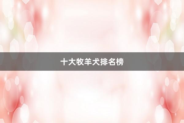 十大牧羊犬排名榜