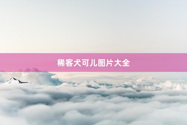 稀客犬可儿图片大全