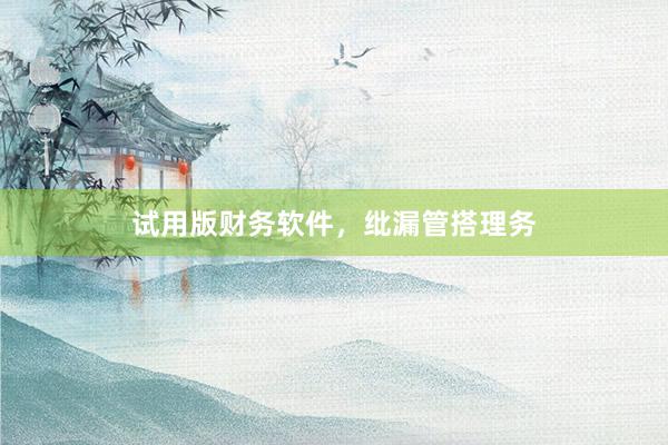 试用版财务软件,纰漏管搭理务
